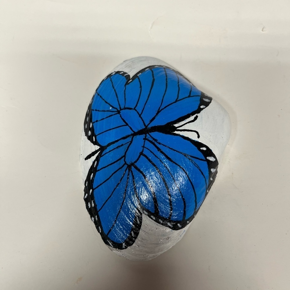 Hand Painted Butterfly Shell - Picture 5 of 10